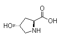 L-羟基脯氨酸